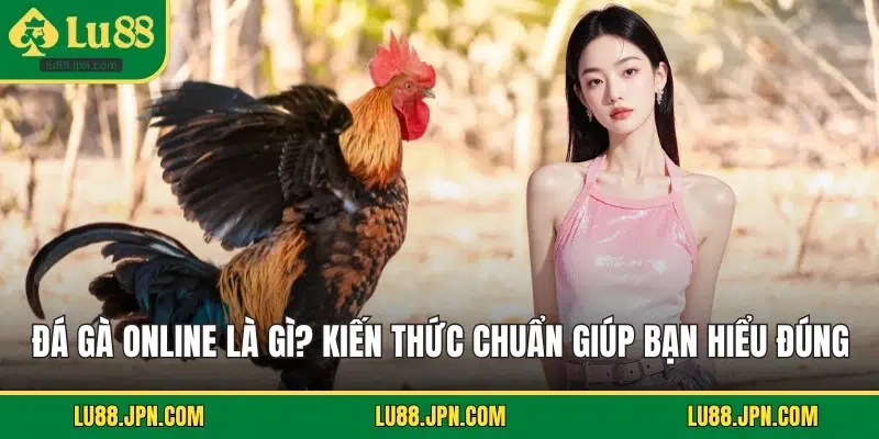 Đá Gà Online Là Gì? Kiến Thức Chuẩn Giúp Bạn Hiểu Đúng