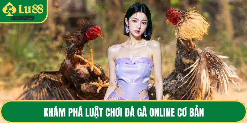Khám phá luật chơi đá gà online cơ bản